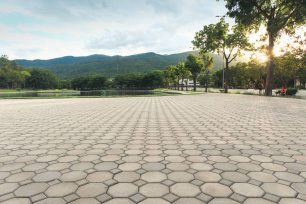 Best Residential Driveway Paver Services  in Clinton, AR
